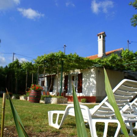 Freistehendes Haus Violeta Mit Weitlaeufigen Garten Raša 외부 사진