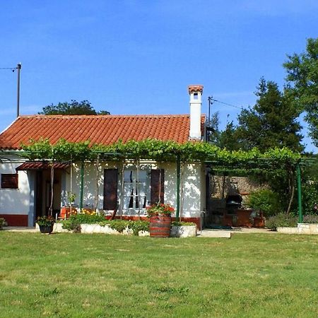 Freistehendes Haus Violeta Mit Weitlaeufigen Garten Raša 외부 사진